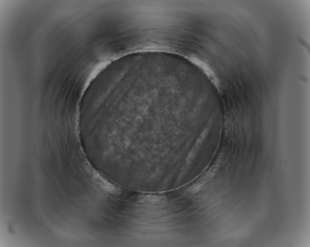 X0000091201374200708231521