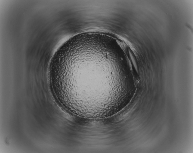X0000091201375200708231521