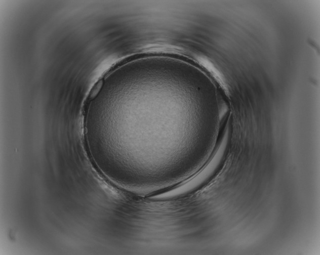 X0000091201376200708231521