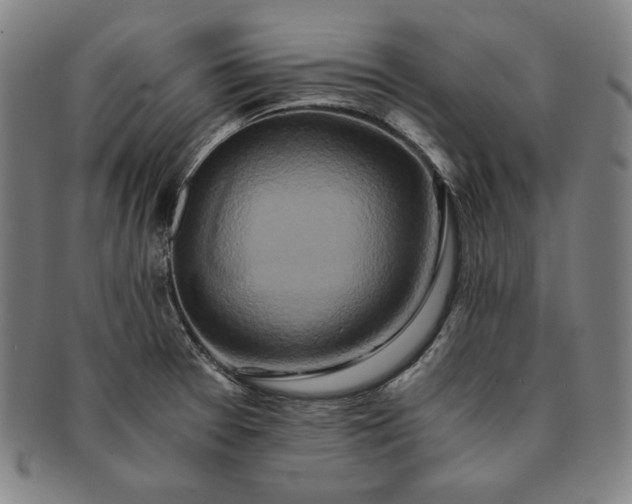 X0000091201377200708231521