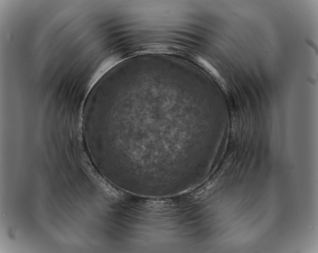 X0000091201378200708231521