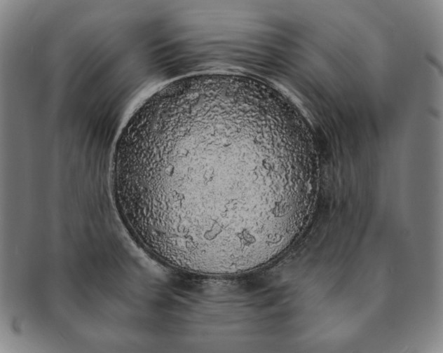 X0000091201379200708231521