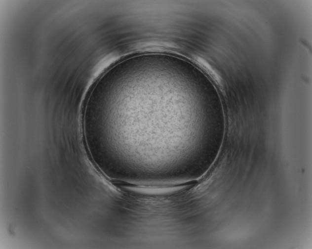 X0000091201384200708231521