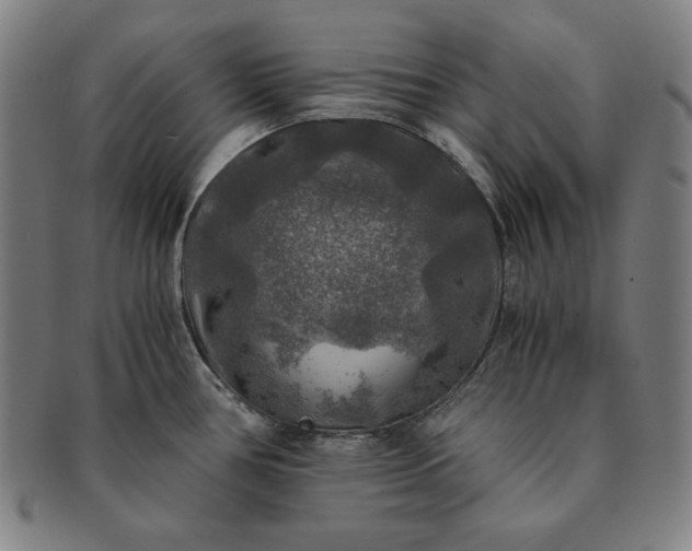 X0000091201386200708231521