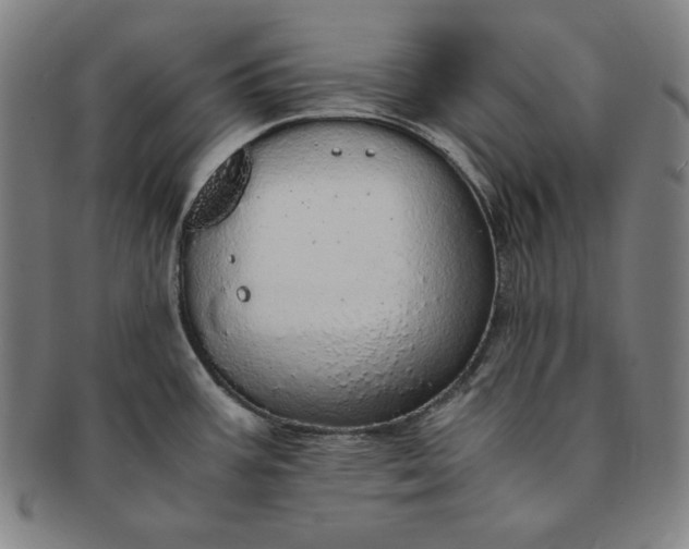X0000091201387200708231521