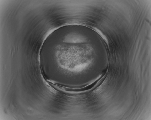X0000091201388200708231520