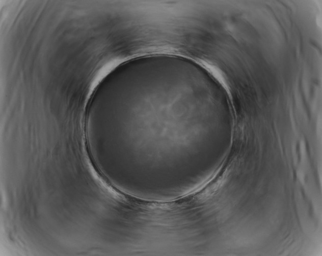 X0000091201389200708231520