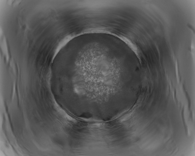 X0000091201390200708231520