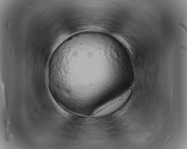 X0000091201391200708231520