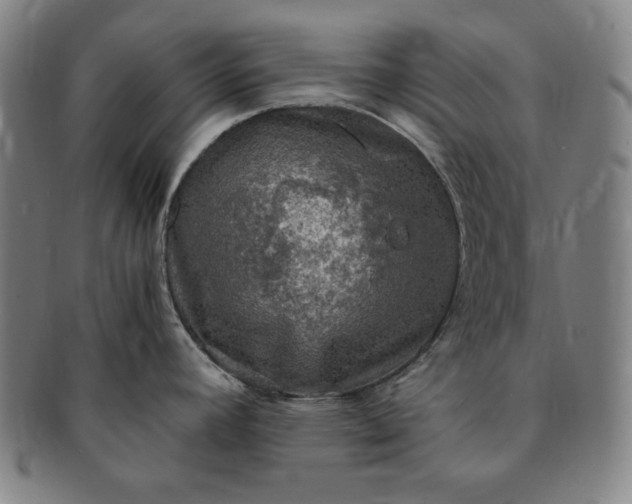 X0000091201392200708231520