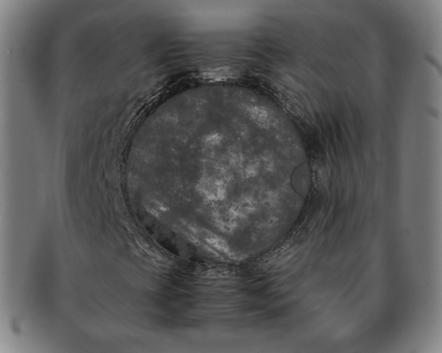 X0000091201393200708231520