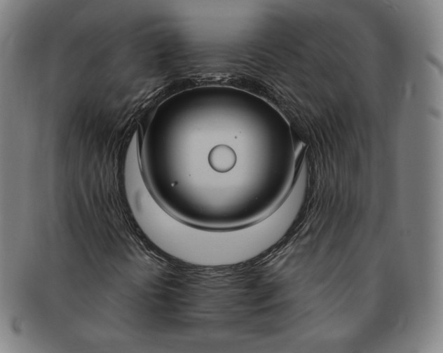 X0000091201394200708231520