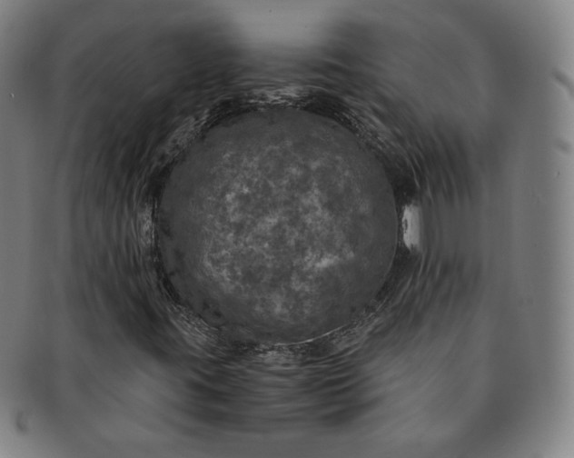 X0000091201395200708231520