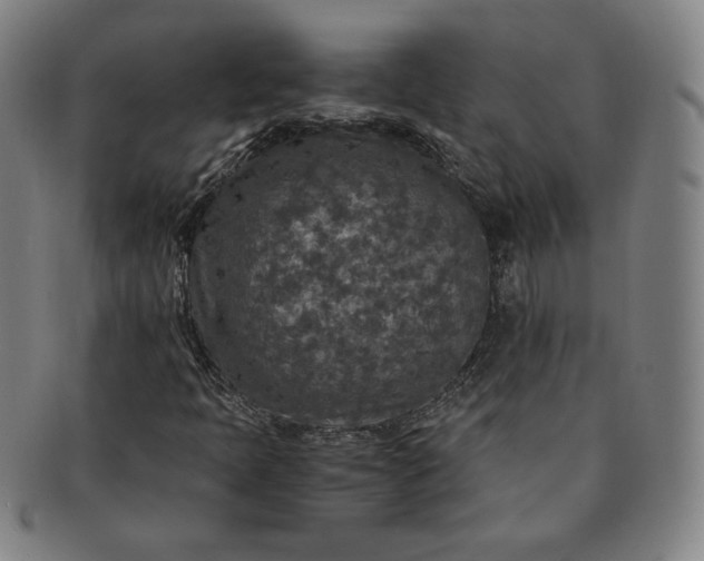 X0000091201397200708231520