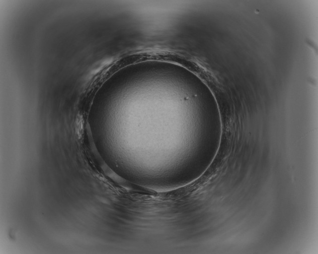 X0000091201398200708231520