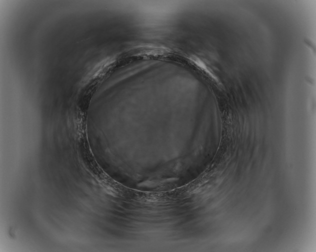 X0000091201399200708231520