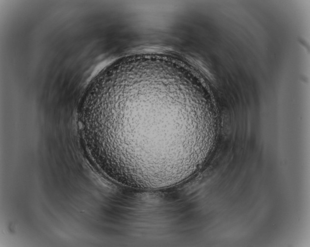 X0000091201404200708231520