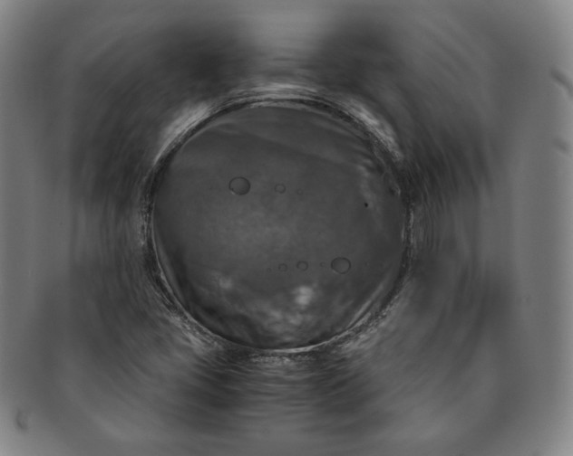 X0000091201405200708231520