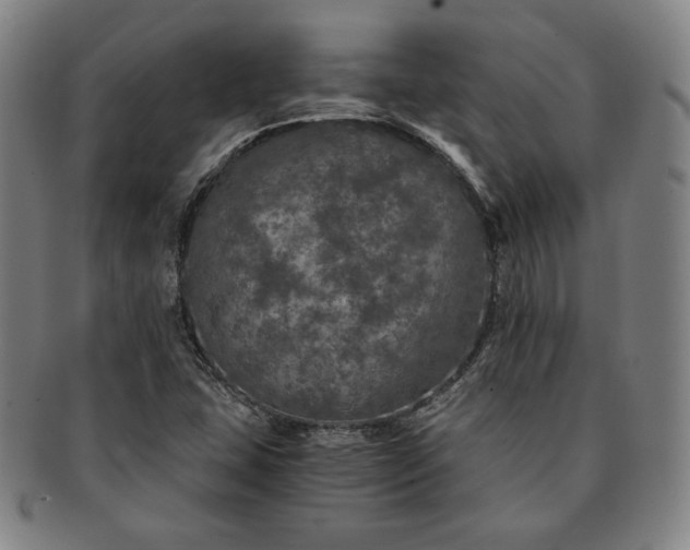 X0000091201407200708231520