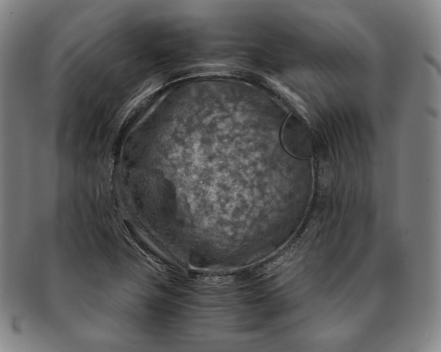 X0000091201411200708231520