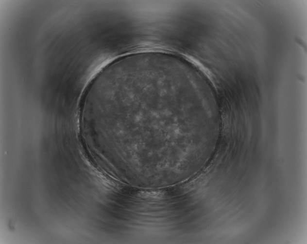 X0000091201415200708231520