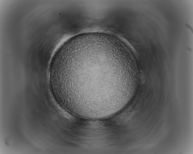 X0000091201416200708231520