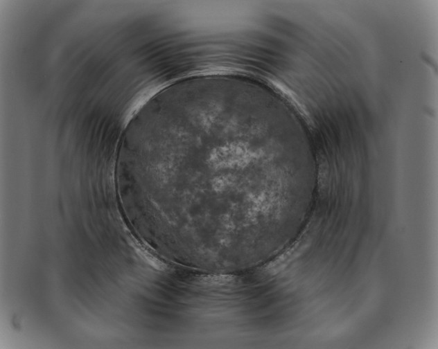 X0000091201417200708231520