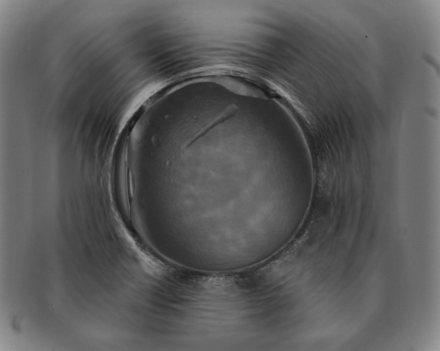 X0000091201418200708231520