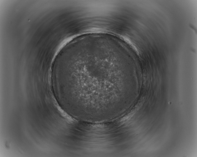X0000091201421200708231520