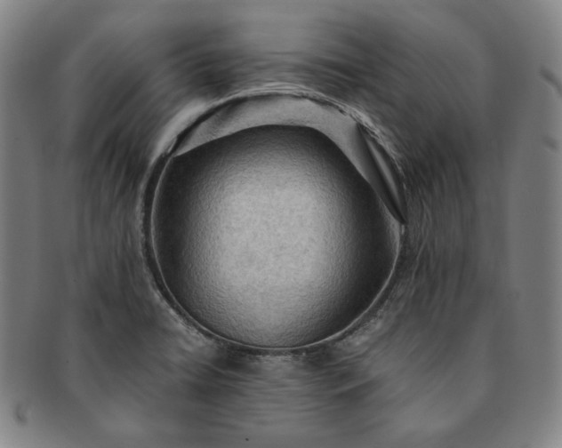 X0000091201422200708231520