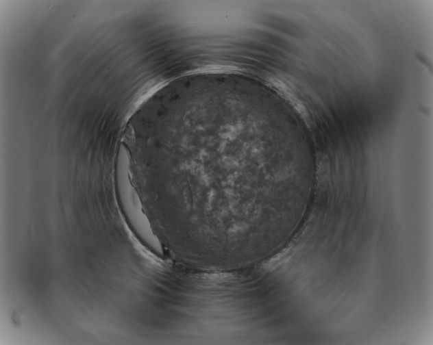 X0000091201425200708231520