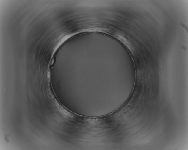 X0000091201428200708231520