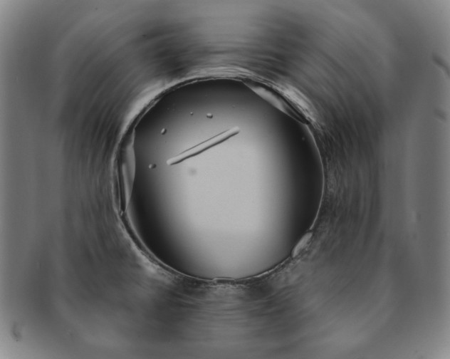 X0000091201430200708231520