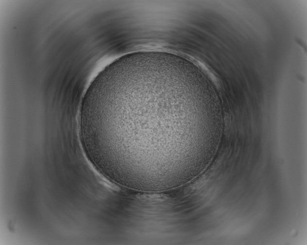 X0000091201432200708231520