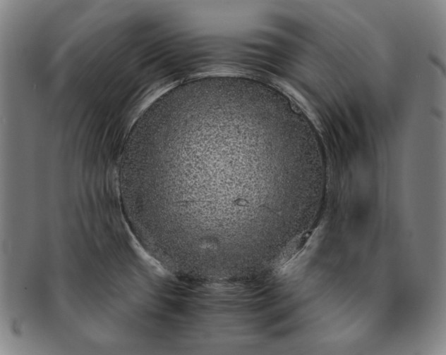 X0000091201433200708231520
