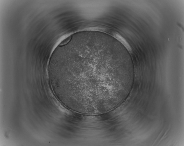 X0000091201436200708231520