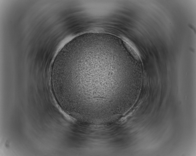 X0000091201437200708231520