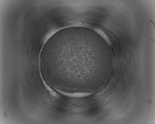 X0000091201439200708231520