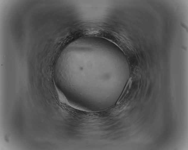X0000091201441200708231520