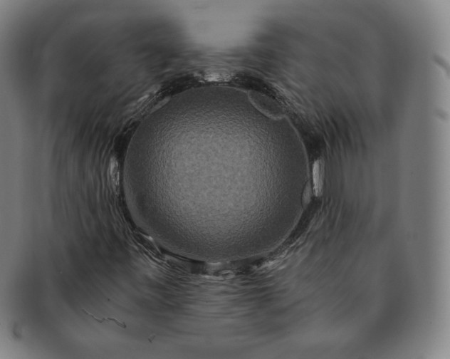 X0000091201443200708231520
