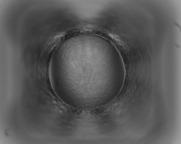 X0000091201445200708231520