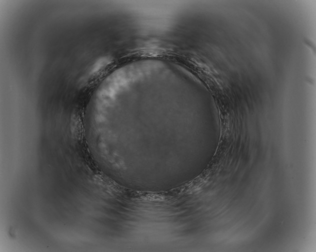 X0000091201446200708231520