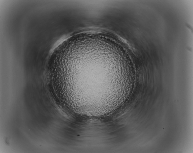 X0000091201448200708231520