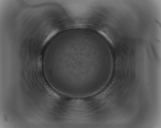 X0000091201450200708231520