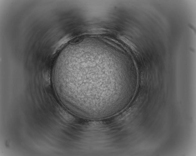 X0000091201451200708231520