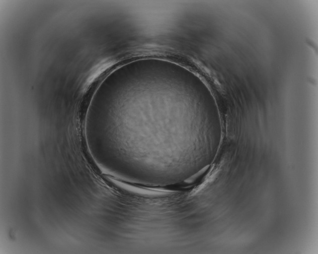 X0000091201453200708231520