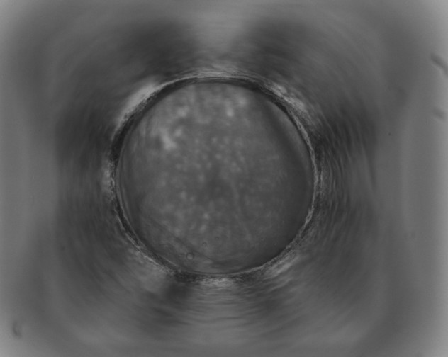 X0000091201454200708231520