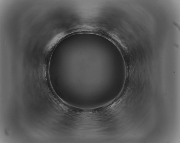 X0000091201455200708231520