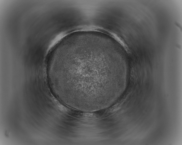 X0000091201456200708231520