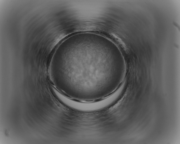 X0000091201457200708231520